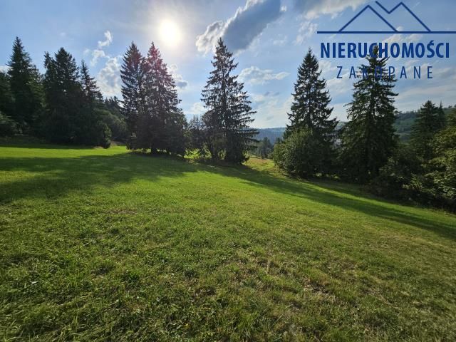 Działka rolna Suche. Zdjęcie 6