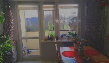 Mieszkanie 2-pokojowe Żnin, ul. Żytnia