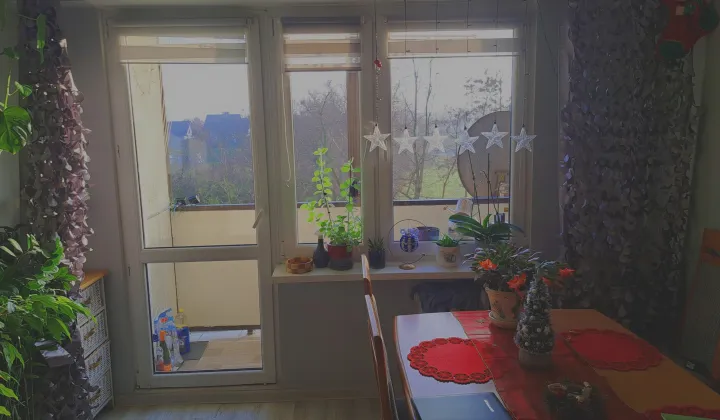 Mieszkanie 2-pokojowe Żnin, ul. Żytnia