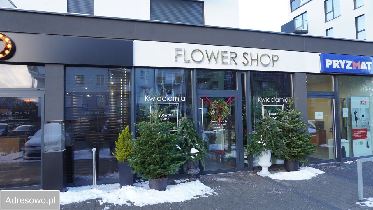 Lokal Toruń Koniuchy, ul. Żwirki i Wigury. Zdjęcie 6