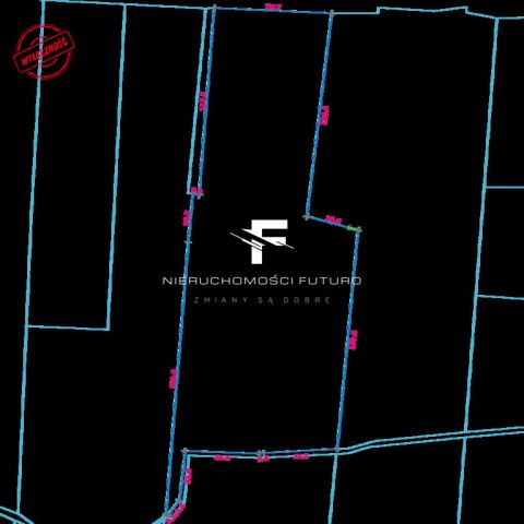 Działka rolna Modrzewo. Zdjęcie 7