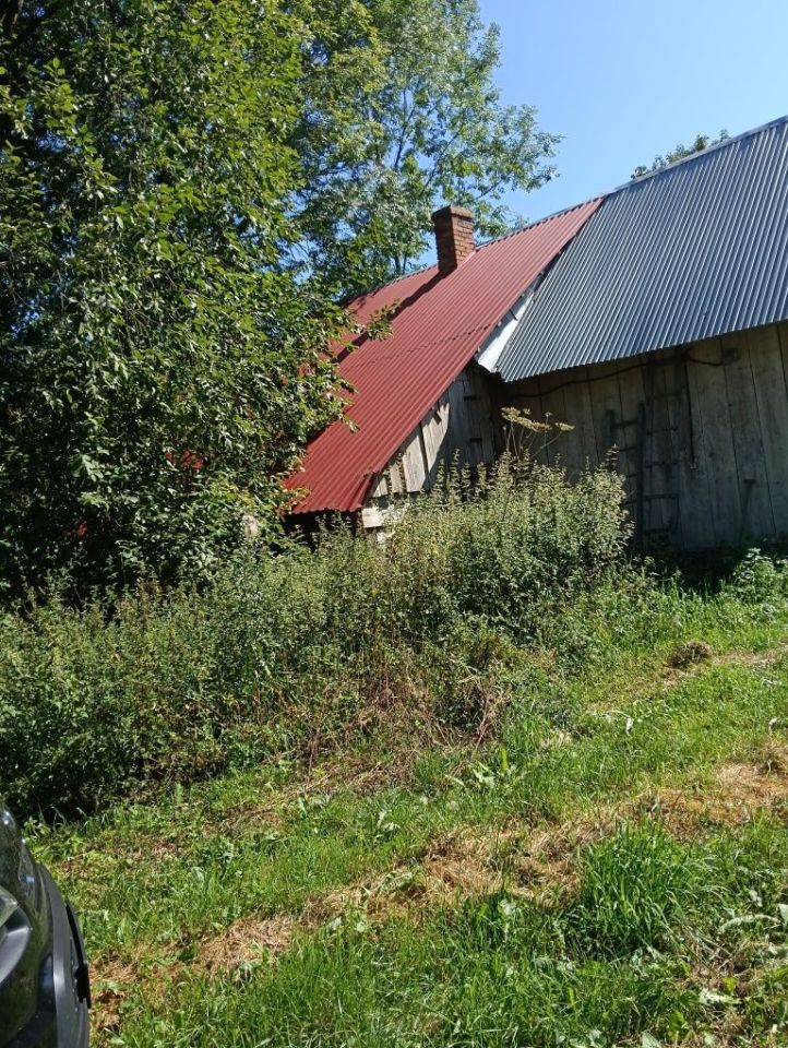 Działka rolna Wola Łagowska. Zdjęcie 2