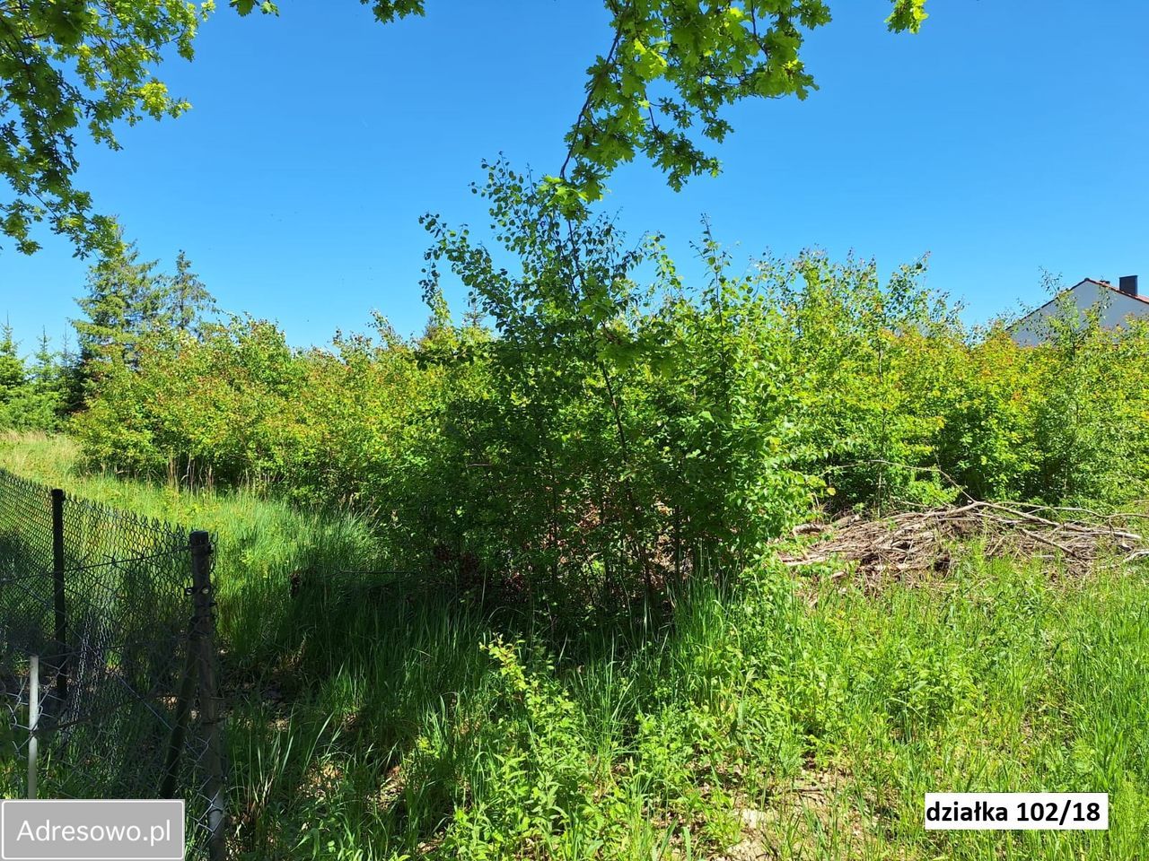 Działka budowlana Grzybowo. Zdjęcie 15