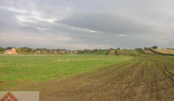 Działka budowlana Proszowice Podgórze