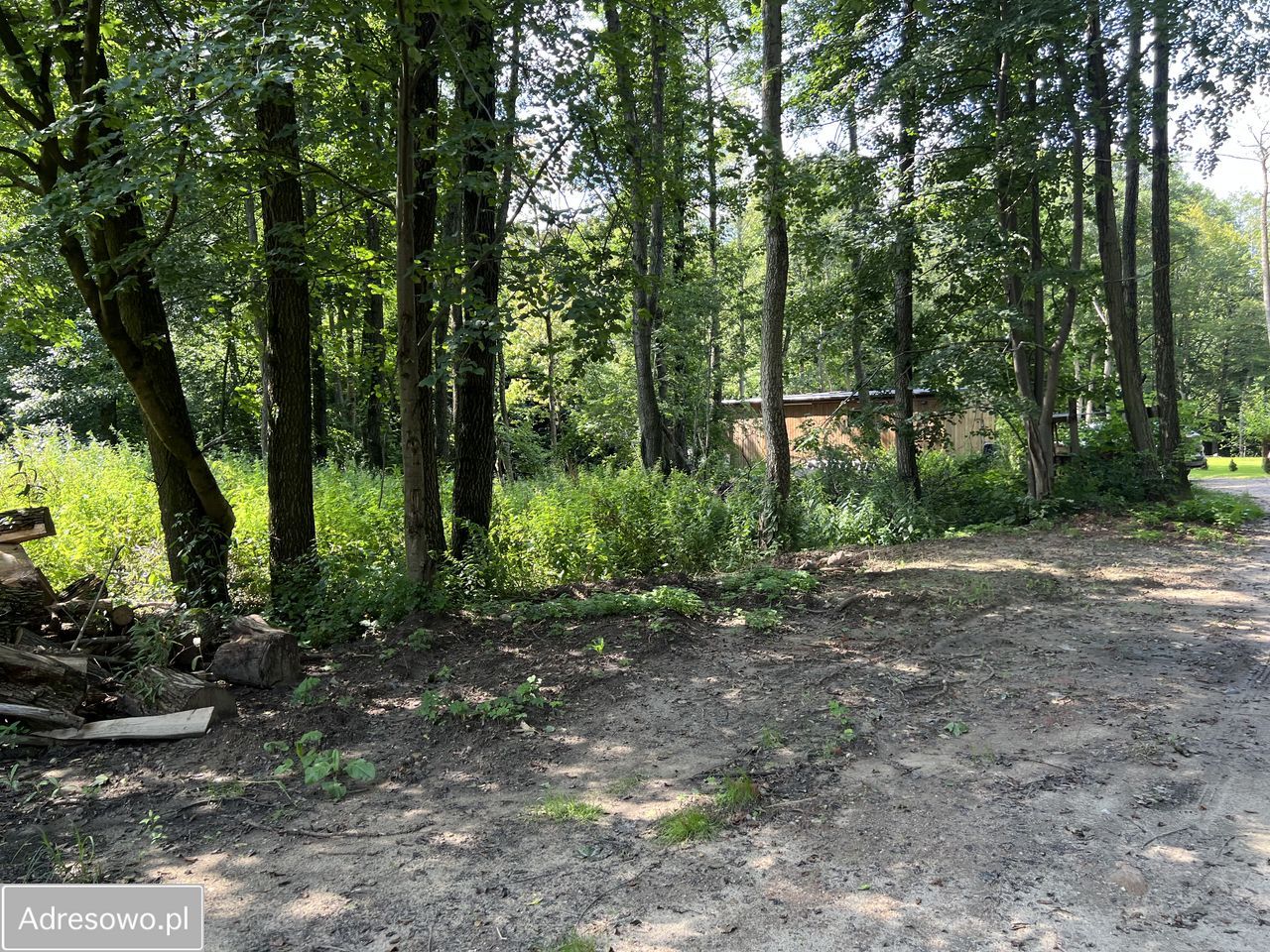 siedlisko Tuszewo. Zdjęcie 6