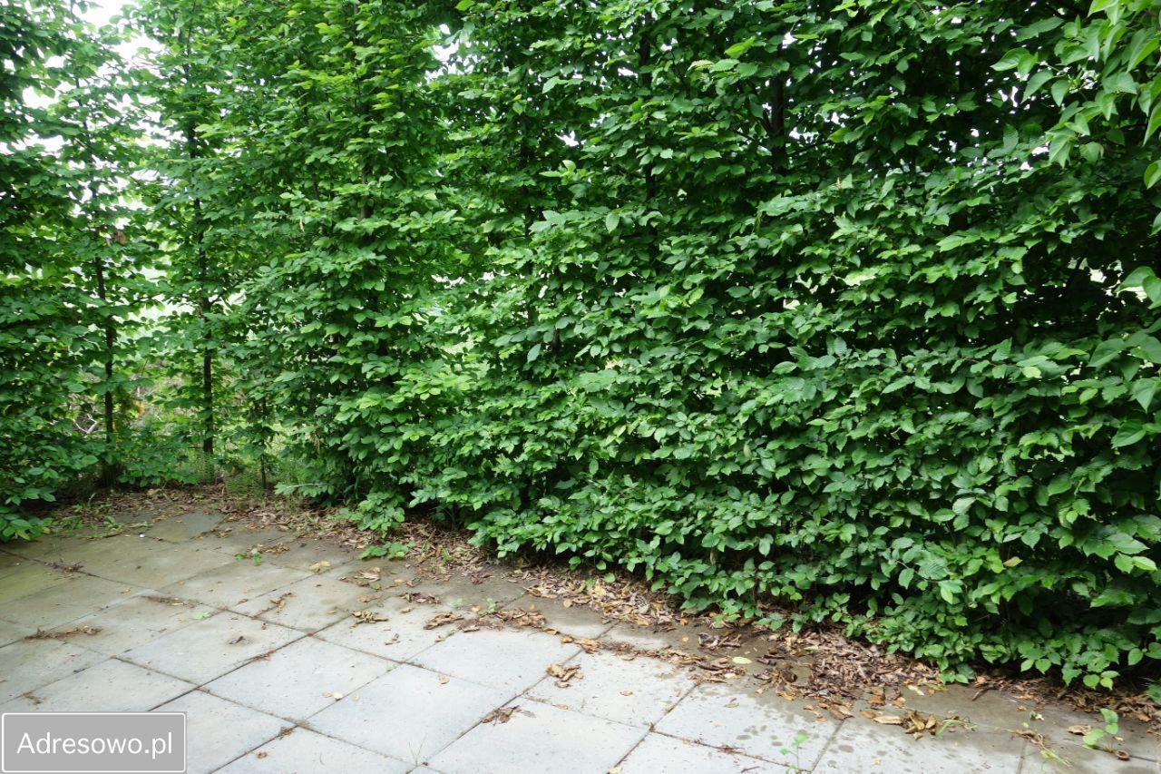 Działka rolna Rogów. Zdjęcie 7