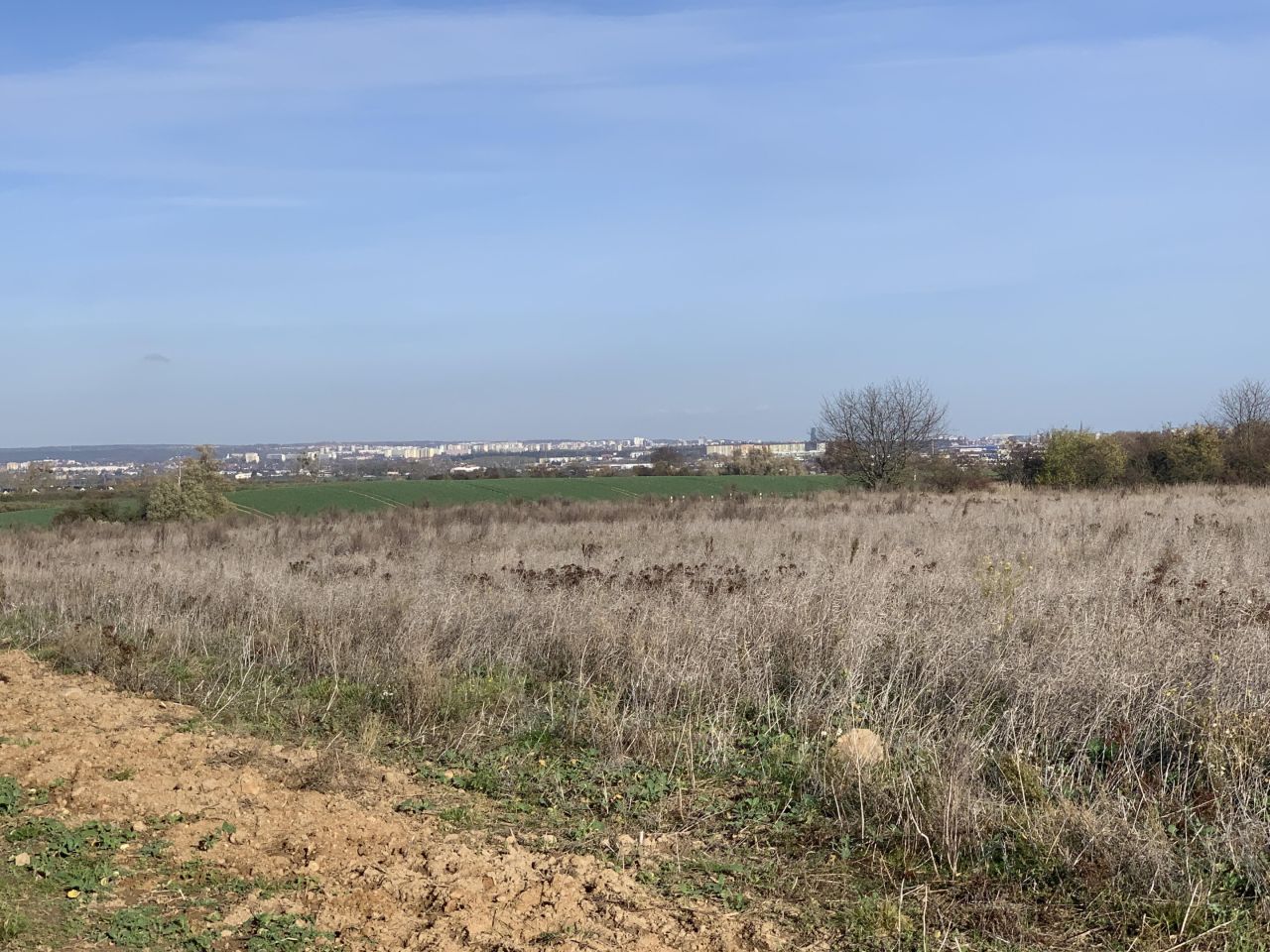 Działka rolna Karwowo. Zdjęcie 6