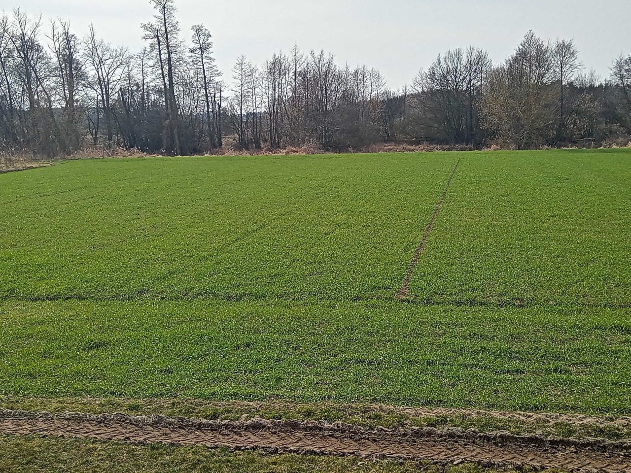 Działka rolna Ostrowsko