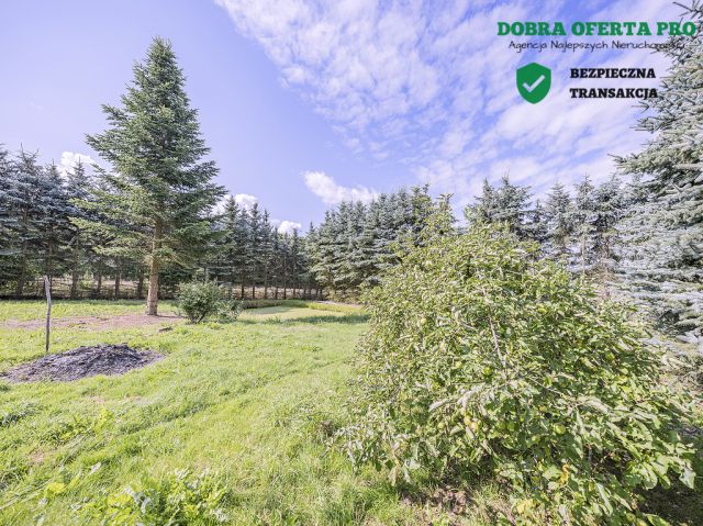 dom wolnostojący, 9 pokoi Czechowo. Zdjęcie 23