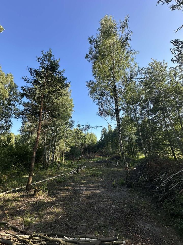 Działka rolno-budowlana Huta Dłutowska Kapkazy, ul. Kapkazy. Zdjęcie 5