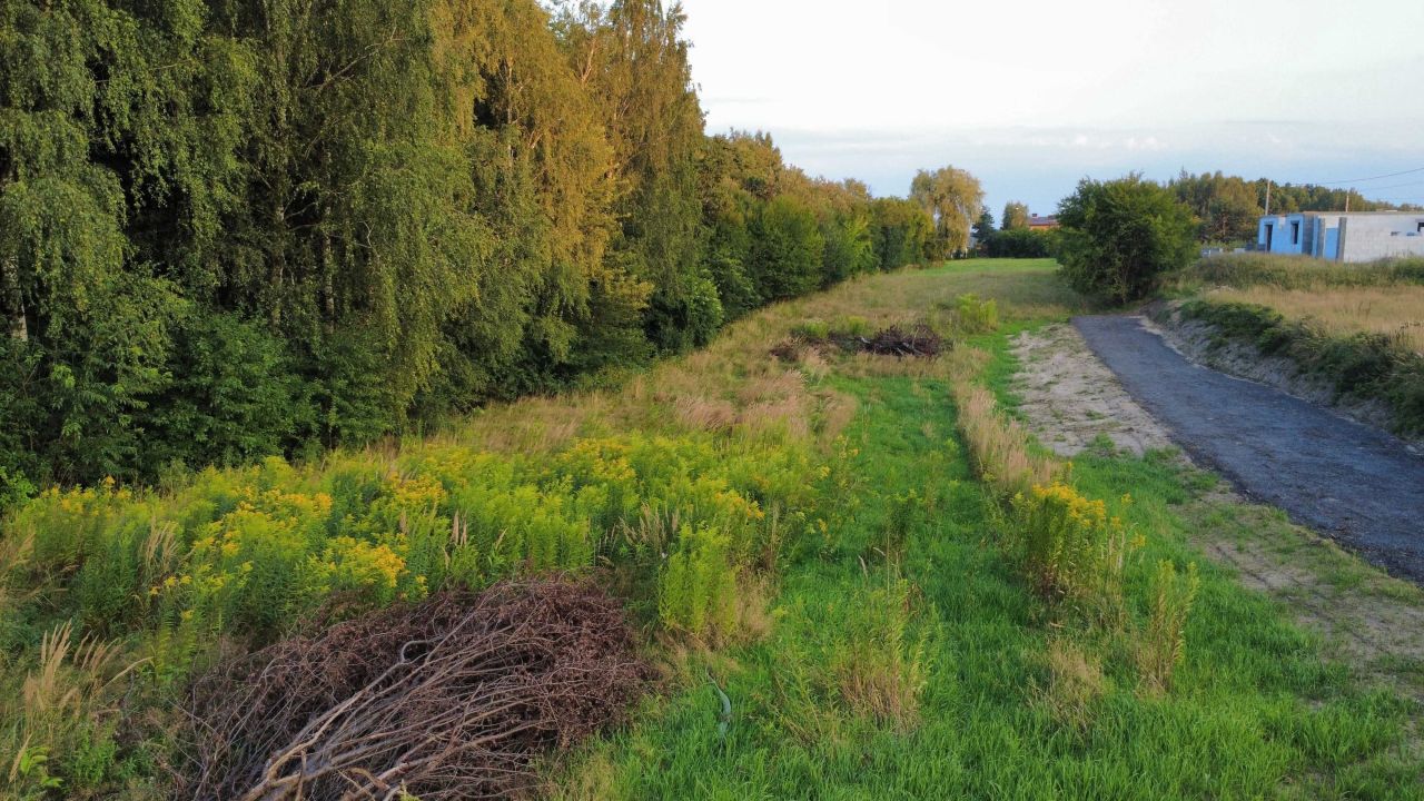 Działka budowlana Krostoszowice, ul. Wodzisławska. Zdjęcie 4