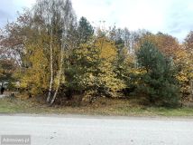 Działka budowlana Prace Duże, ul. Tarczyńska. Zdjęcie 2