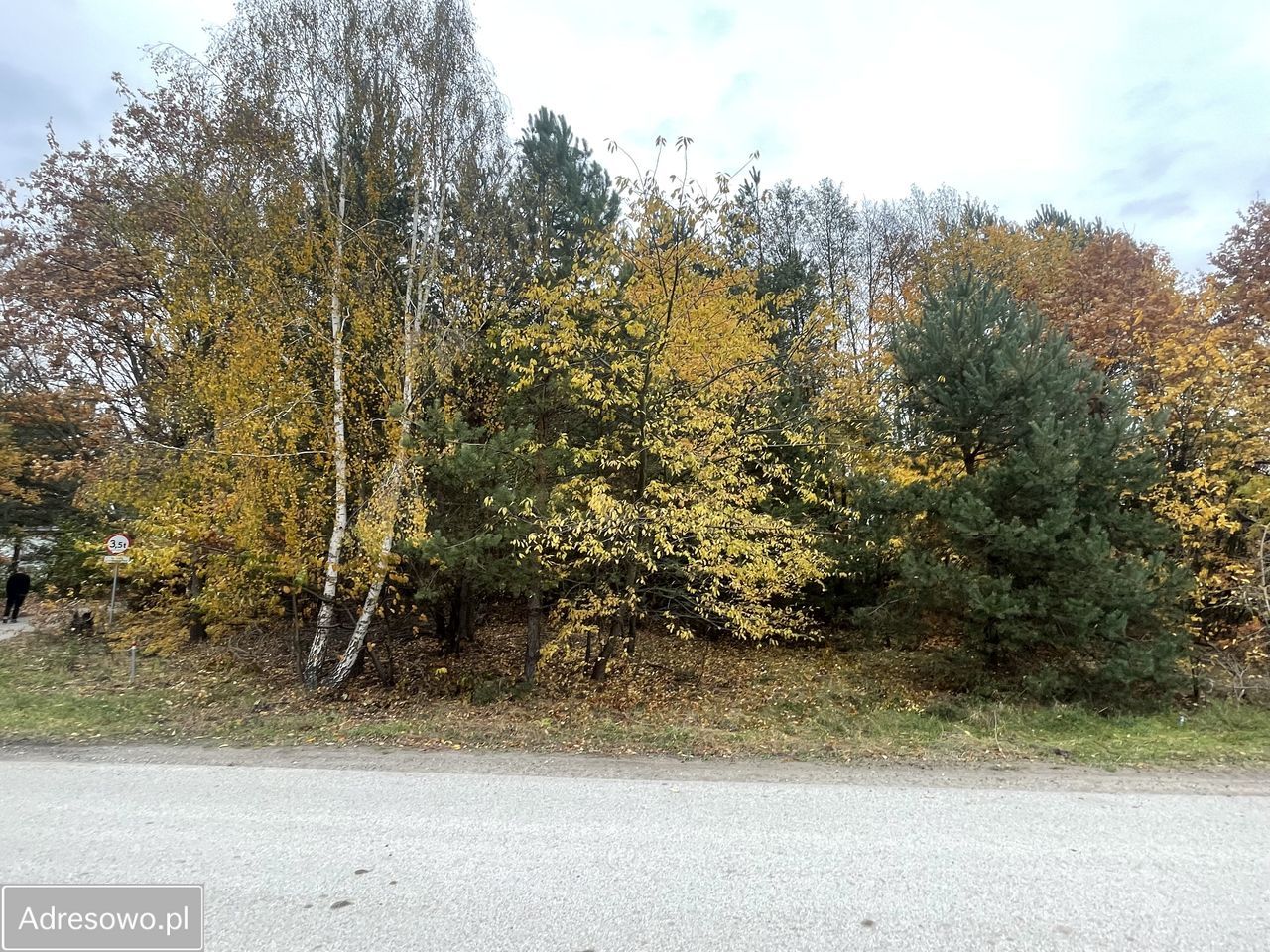 Działka budowlana Prace Duże, ul. Tarczyńska. Zdjęcie 3