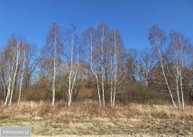 Działka budowlana Żłobizna. Zdjęcie 3