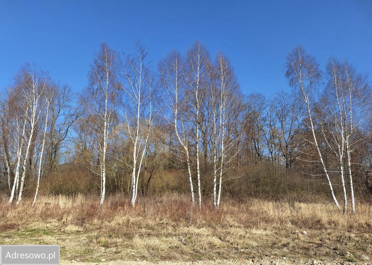 Działka budowlana Żłobizna. Zdjęcie 4