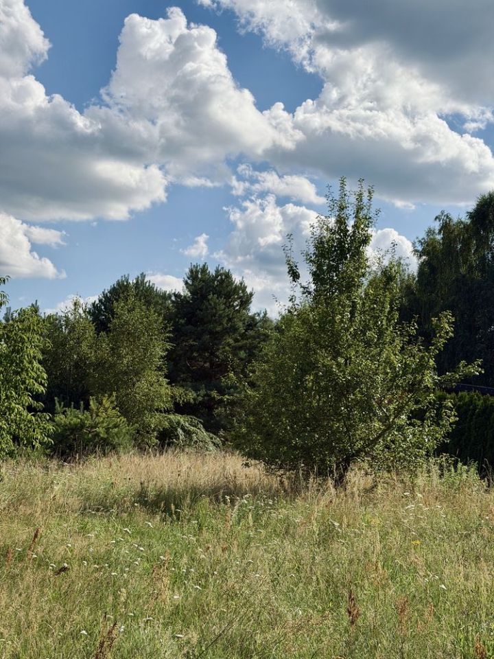 Działka budowlana Jadwinin. Zdjęcie 2