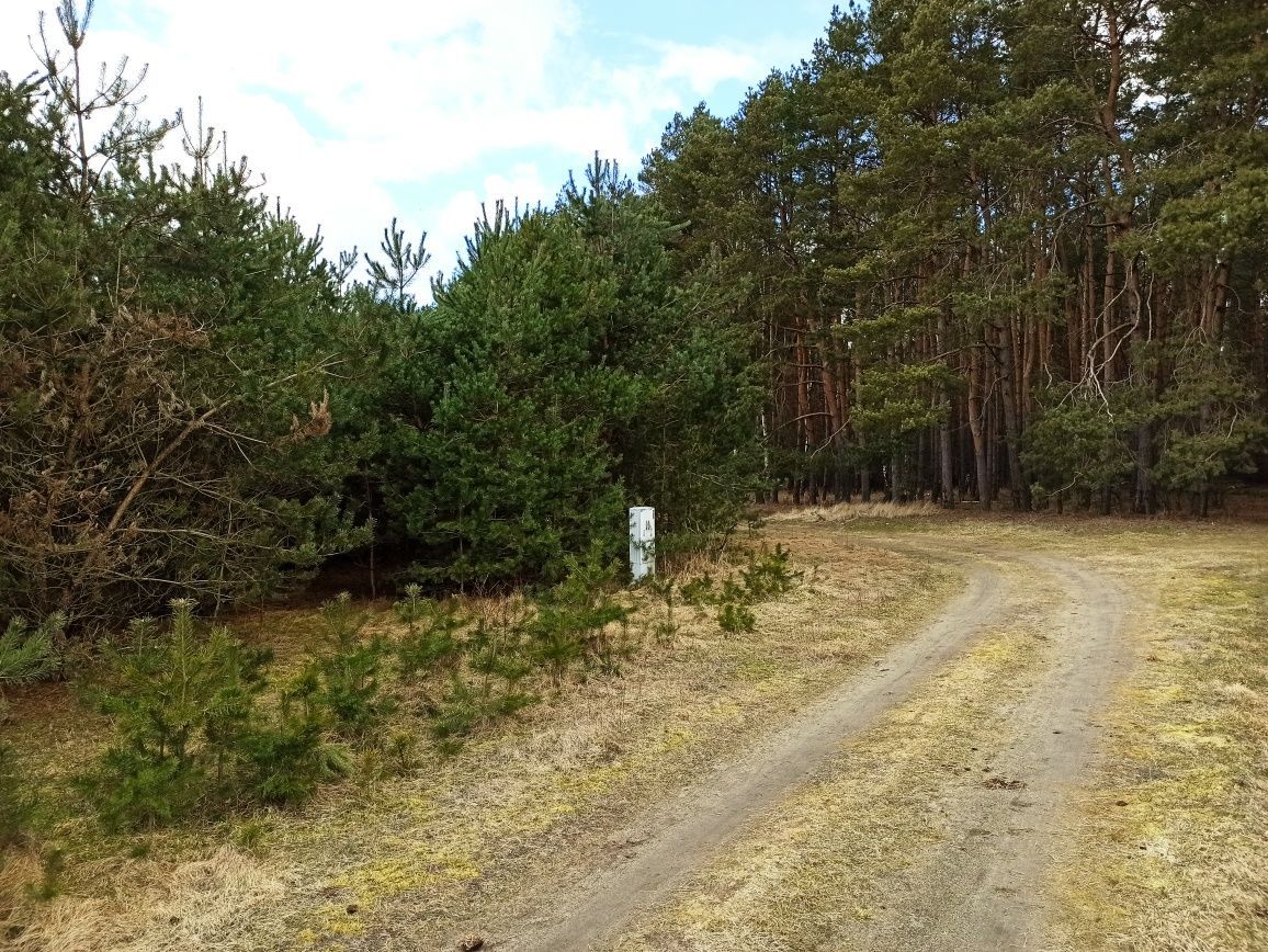 Działka budowlana Rakowo. Zdjęcie 2
