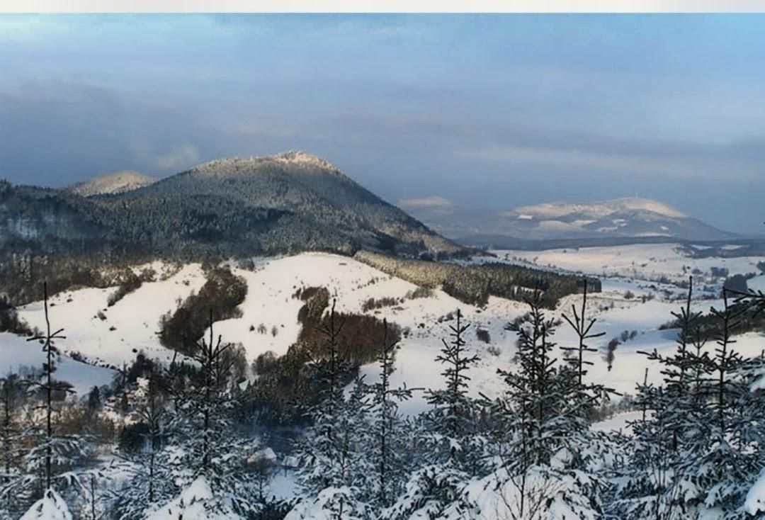 Mieszkanie 1-pokojowe Mieroszów, ul. Dolna. Zdjęcie 8