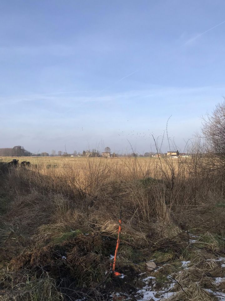 Działka budowlana Kalisz Lis, ul. Myśliwska. Zdjęcie 6