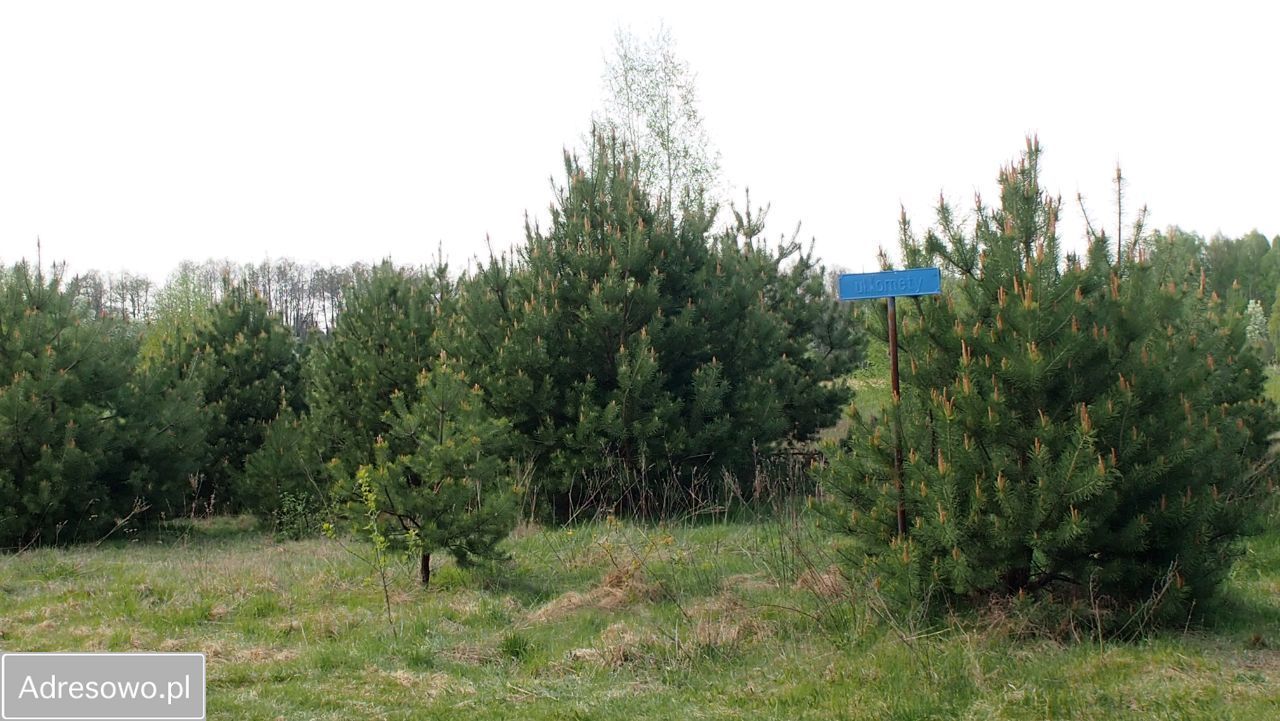 Działka budowlana Ojrzanów, ul. Wiklinowa. Zdjęcie 12