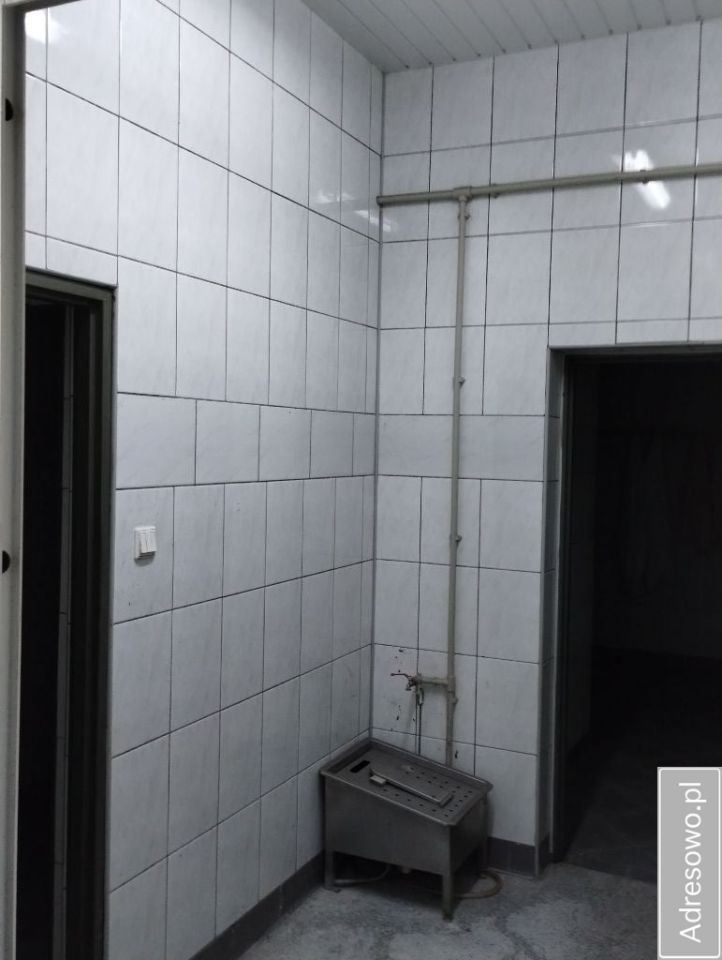 Lokal Dąbrowa-Dzięciel. Zdjęcie 8