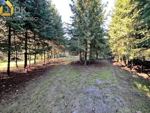 dom wolnostojący, 5 pokoi Lasocin. Zdjęcie 5