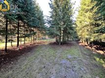 dom wolnostojący, 5 pokoi Lasocin. Zdjęcie 4