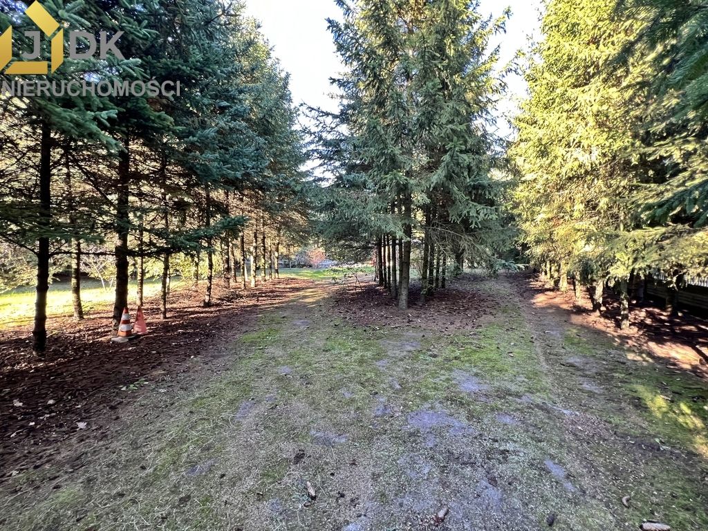 dom wolnostojący, 5 pokoi Lasocin. Zdjęcie 5