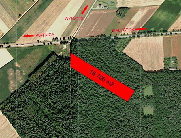 Działka leśna Wyrzyki. Zdjęcie 1