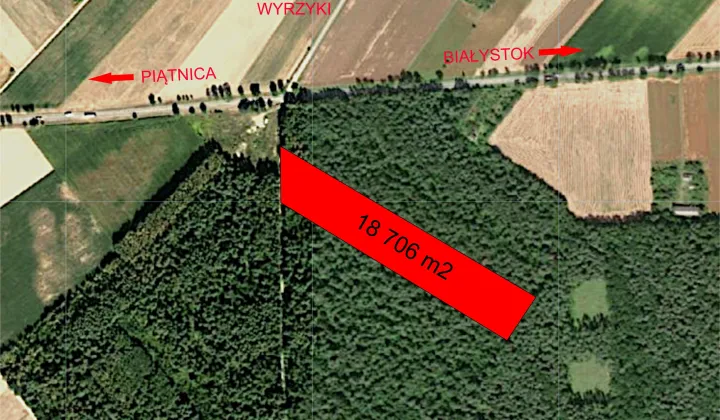 Działka leśna Wyrzyki