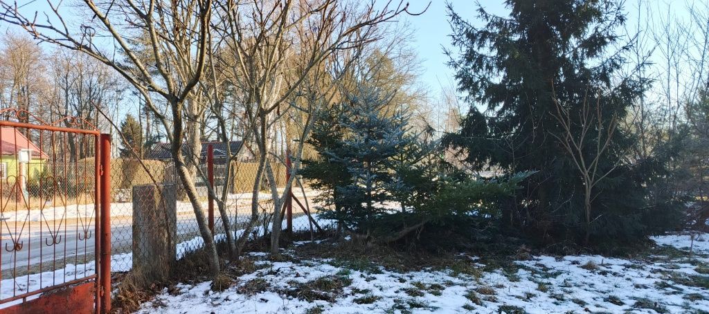 Działka Pszczółki. Zdjęcie 4