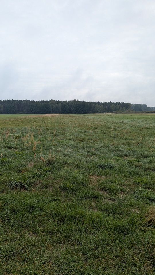 Działka rolna Danków Duży. Zdjęcie 8