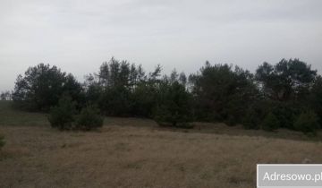 Działka rolna Józefkowo