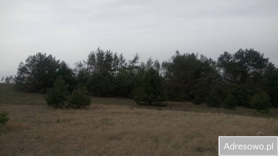 Działka rolno-budowlana Józefkowo. Zdjęcie 2