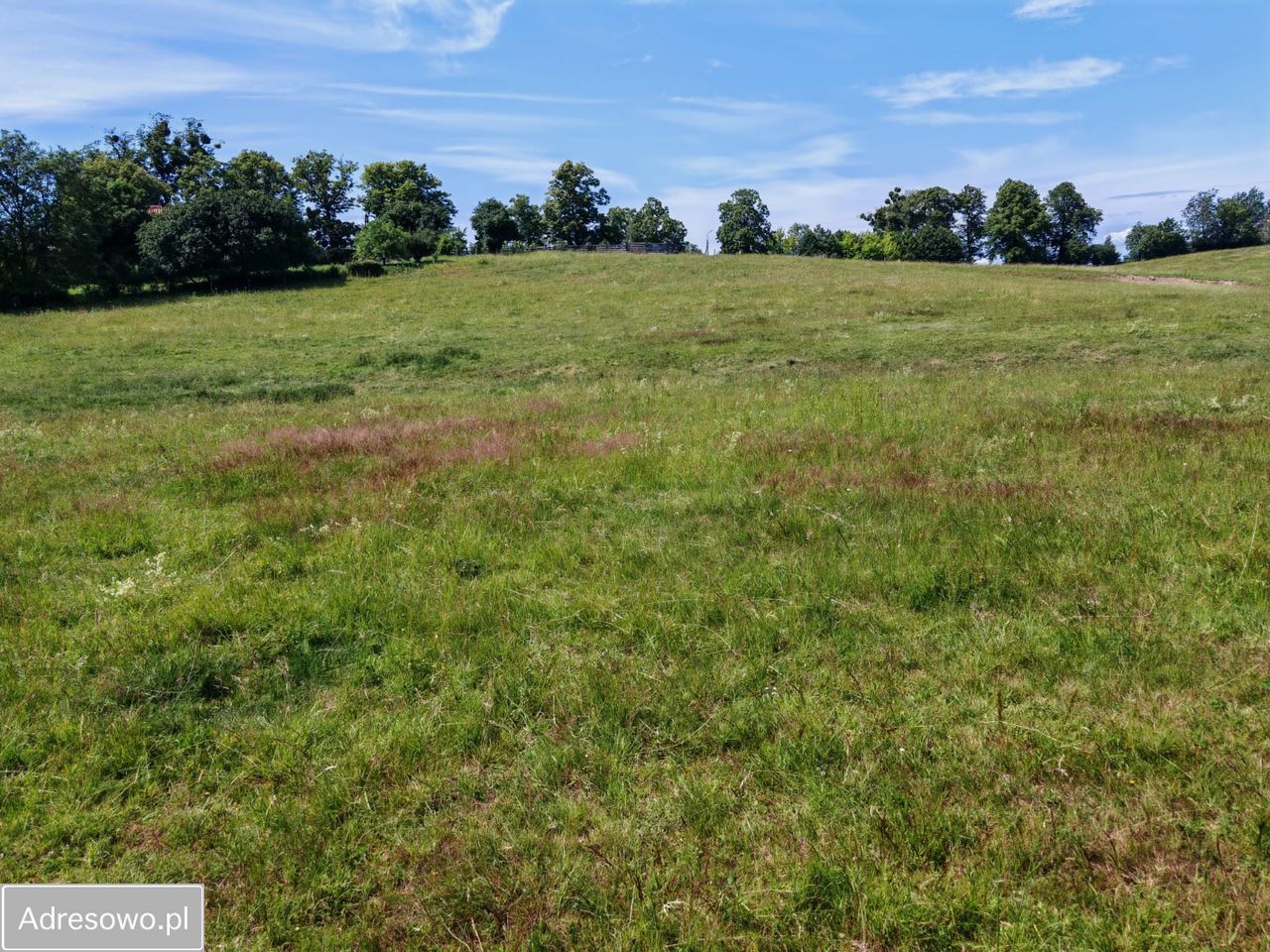 Działka rolna Dąbrówka. Zdjęcie 3