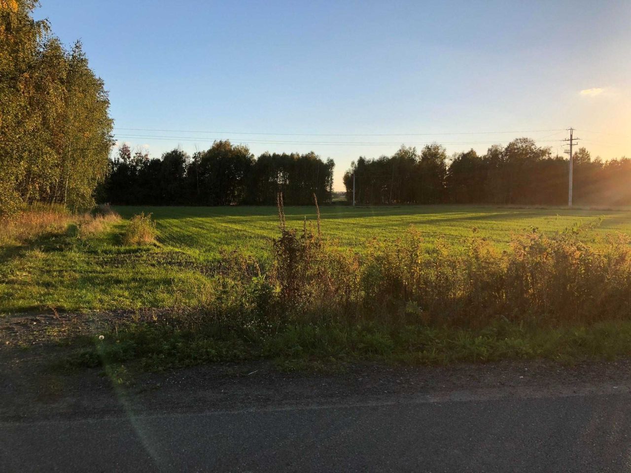 Działka budowlana Bagna. Zdjęcie 4