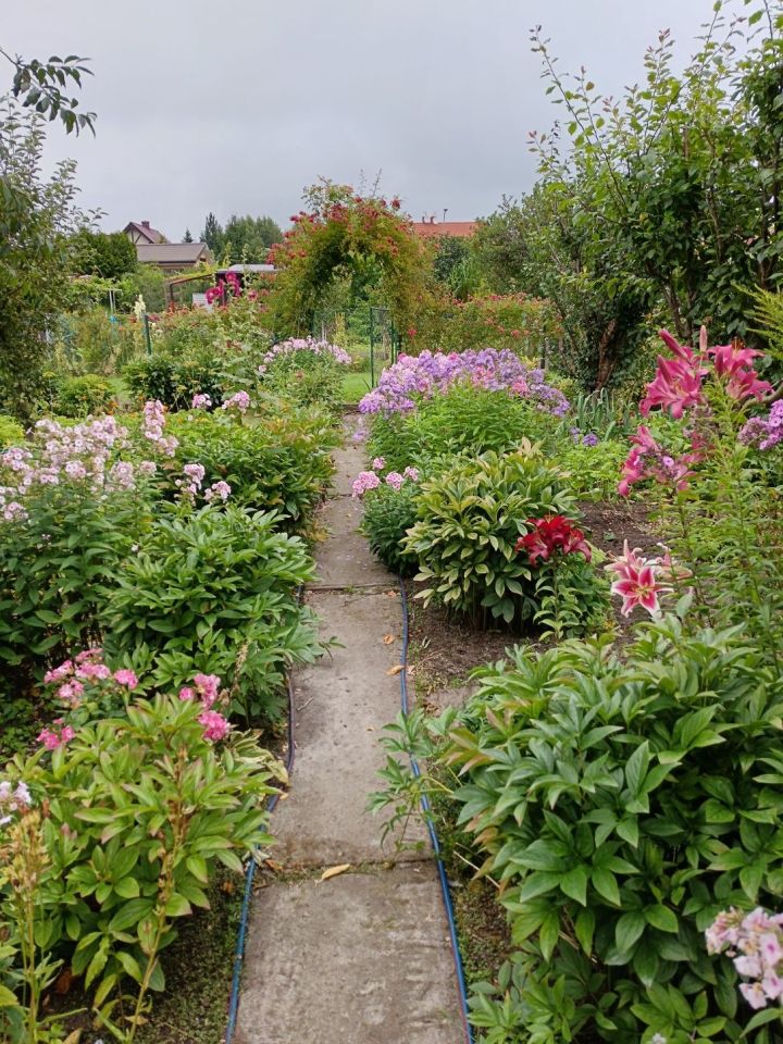 Działka rod Niekłonice. Zdjęcie 4