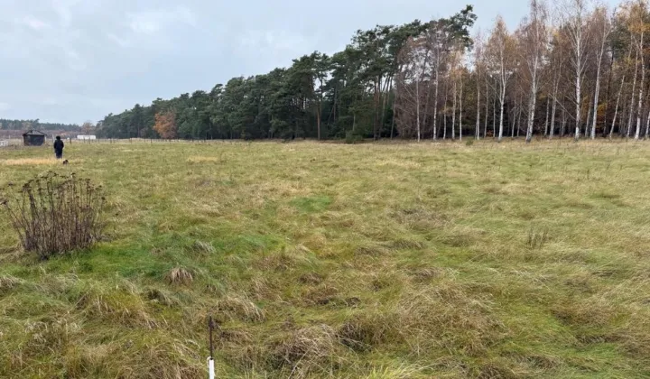 Działka budowlana Trzęsów