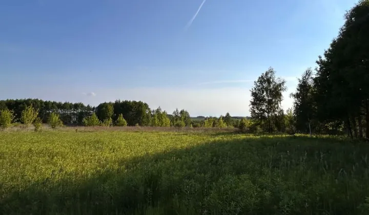 Działka budowlana Barcice Drwalewskie