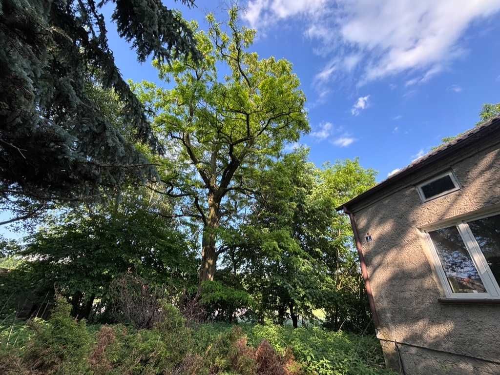 gospodarstwo Zalesie-Lenki. Zdjęcie 6