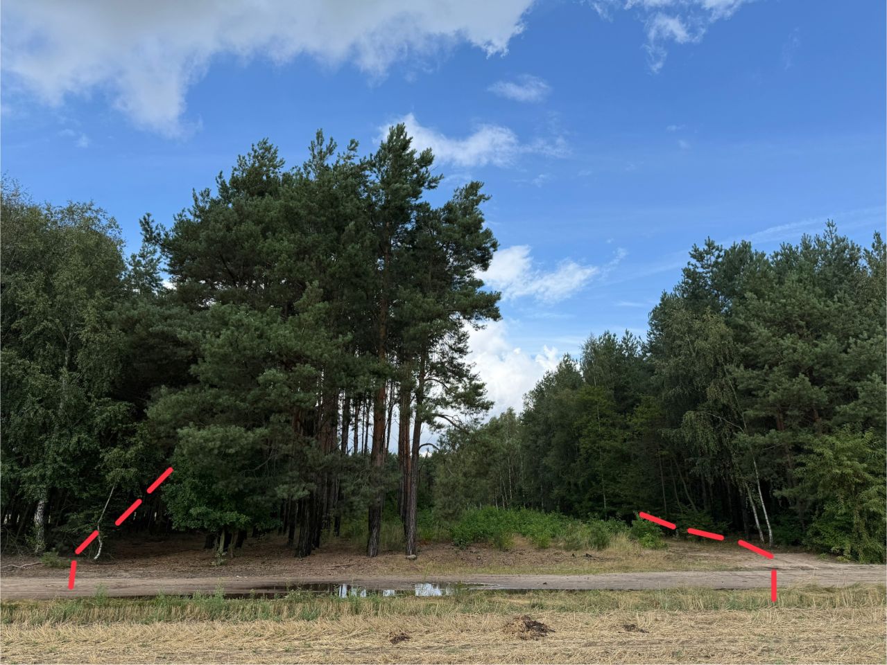 Działka rolno-budowlana Zborów. Zdjęcie 1
