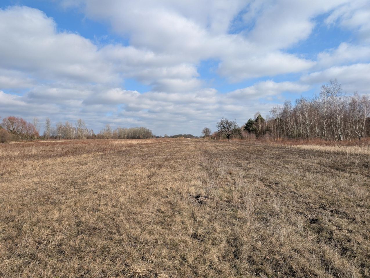 Działka inwestycyjna Turowice. Zdjęcie 3