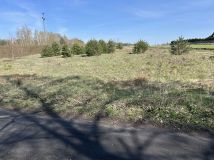 Działka budowlana Płyćwia. Zdjęcie 4