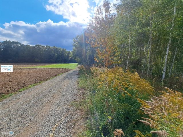 Działka siedliskowa Łagów. Zdjęcie 1