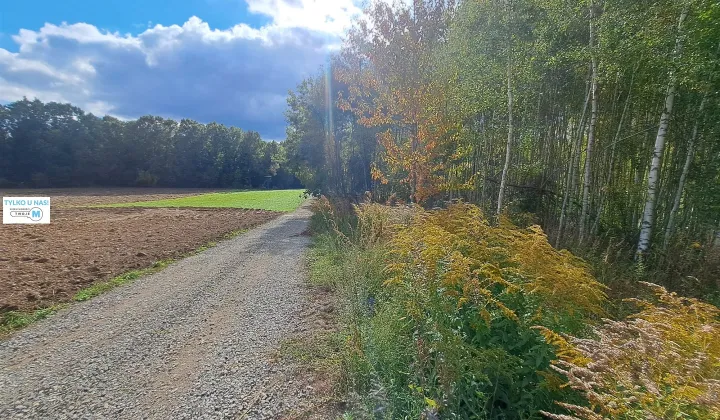 Działka siedliskowa Łagów