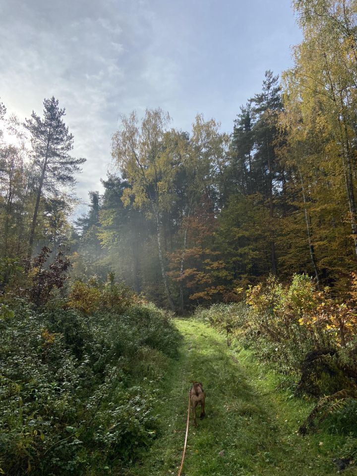 dom wolnostojący, 4 pokoje Młochów, ul. Źródlana. Zdjęcie 18