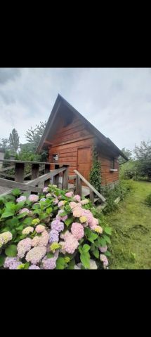 Działka rod Gniezno. Zdjęcie 1