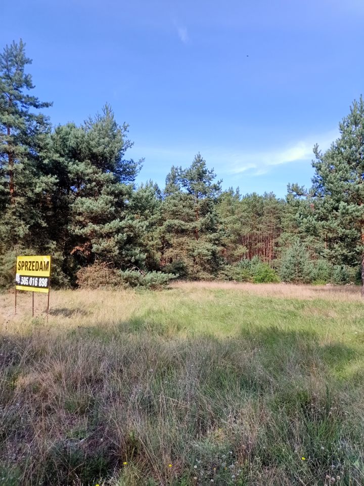 Działka rolna Świbinki. Zdjęcie 7