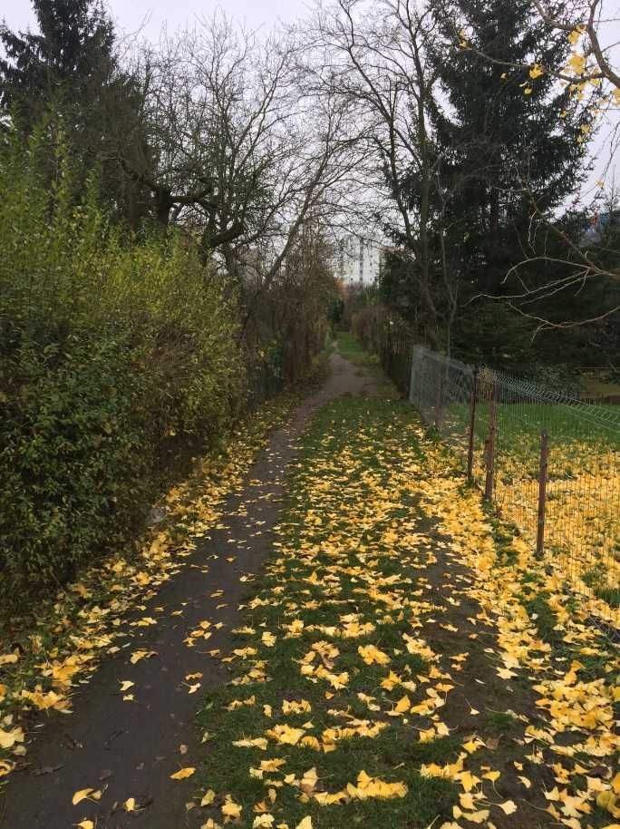 Działka rod Warszawa Rakowiec, ul. Sąchocka. Zdjęcie 4