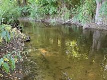 Działka rolno-budowlana Idzbark Idzbarski Młyn. Zdjęcie 4